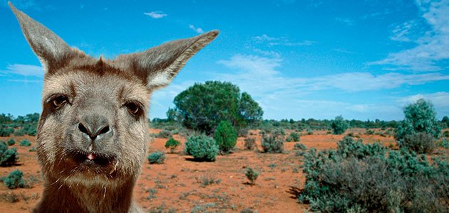 Desventuras na Austrália (parte 2)